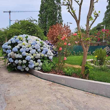 הוילה פורטו Garden House Ramalde מראה חיצוני תמונה