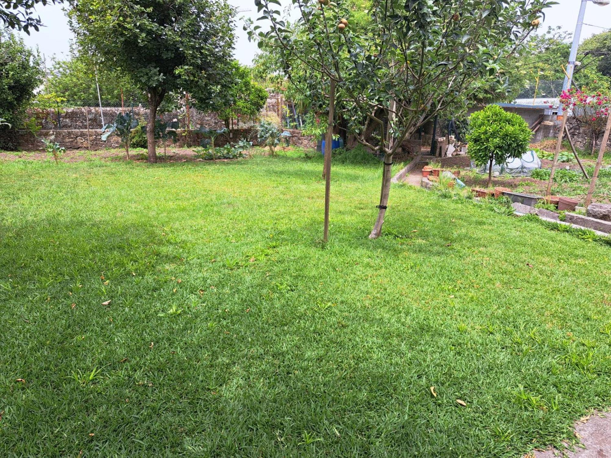 הוילה פורטו Garden House Ramalde מראה חיצוני תמונה