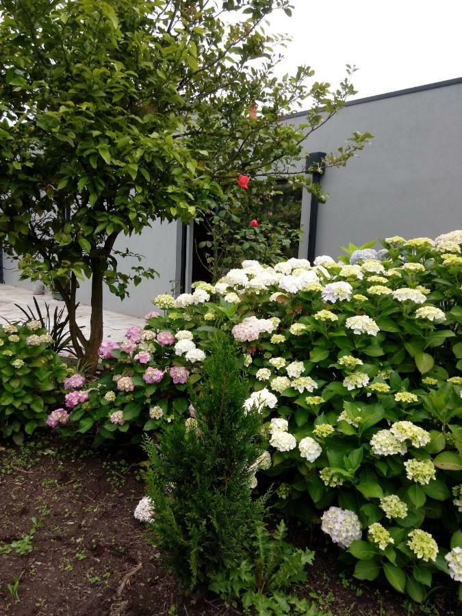הוילה פורטו Garden House Ramalde מראה חיצוני תמונה